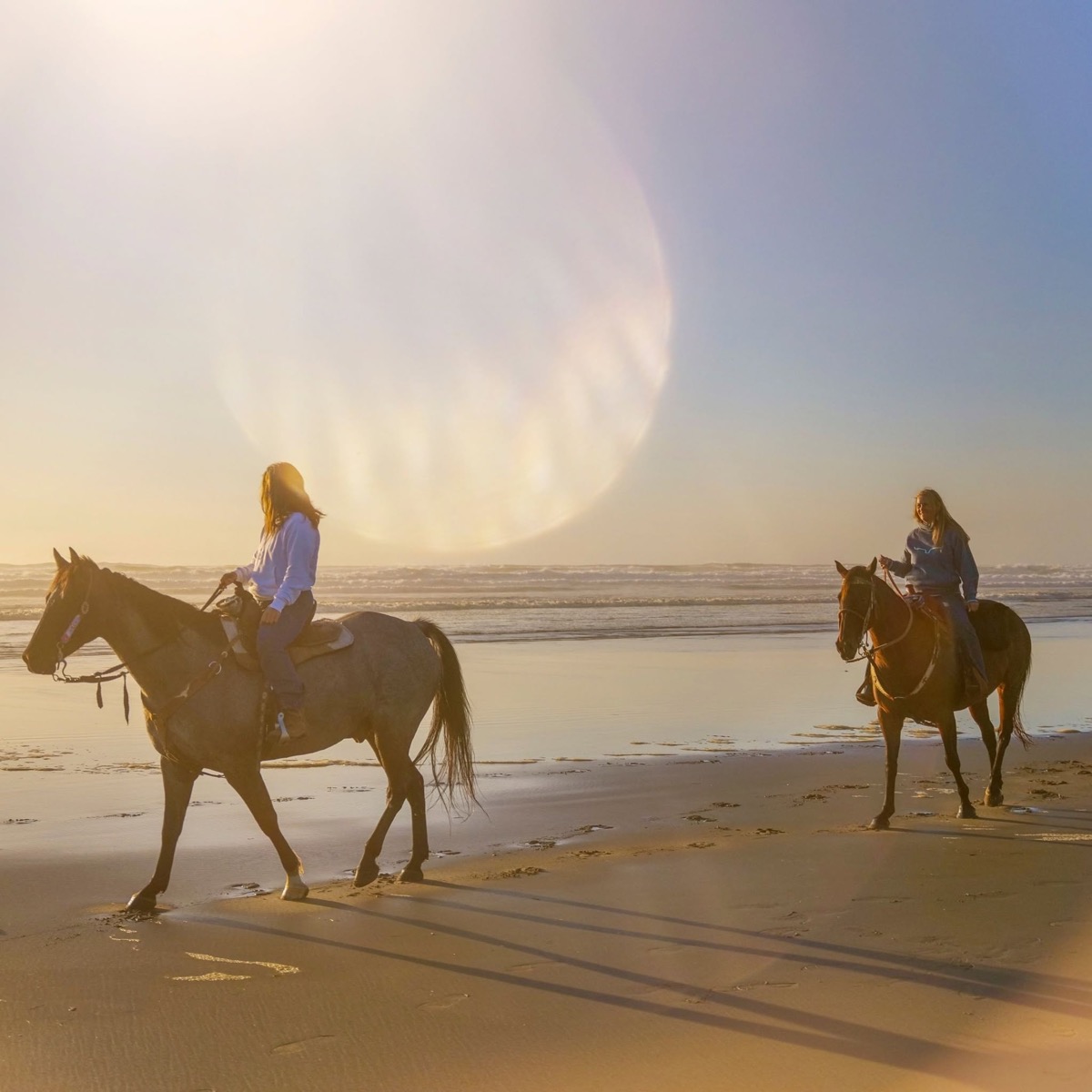 West Coast Horse Rides