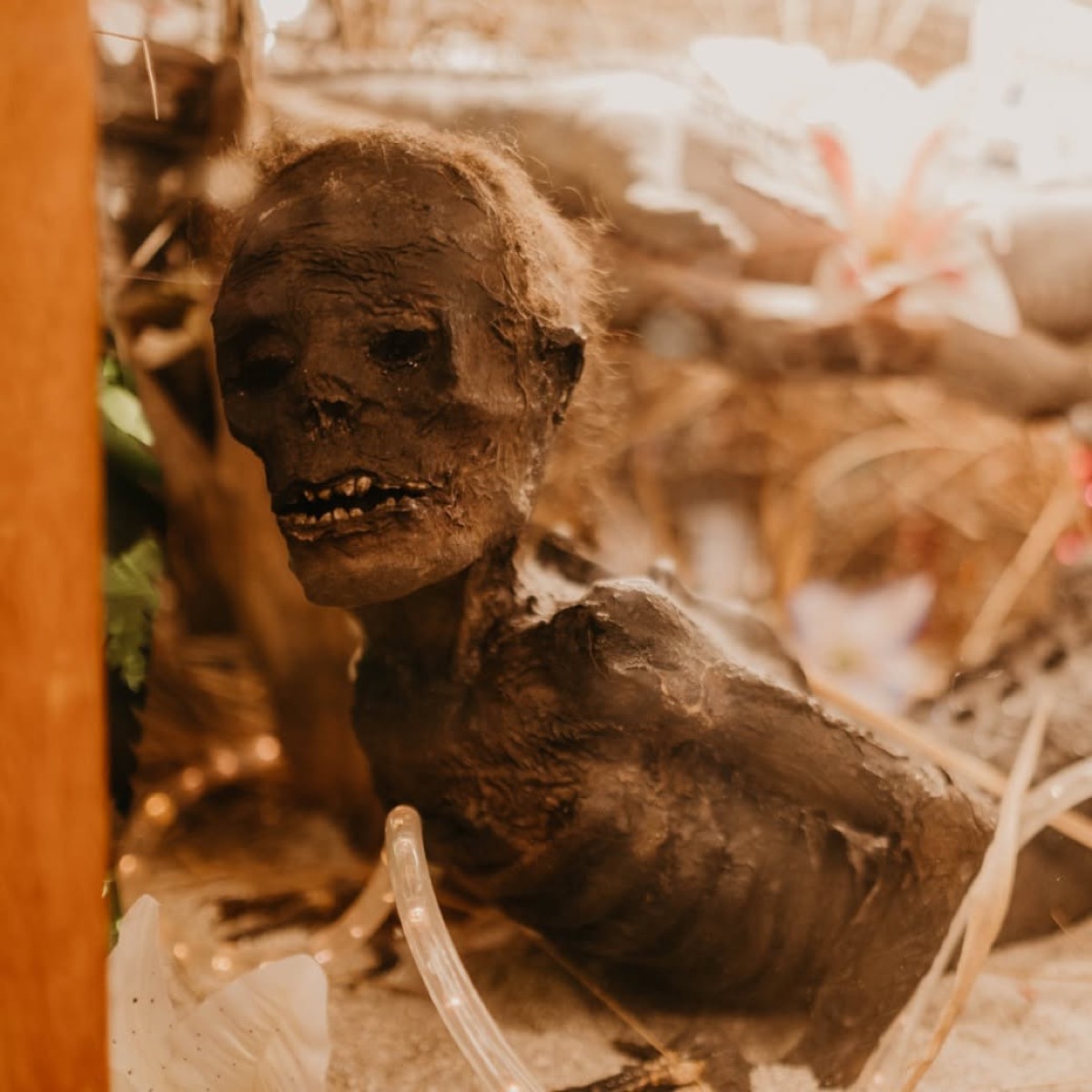 Marsh's Free Museum