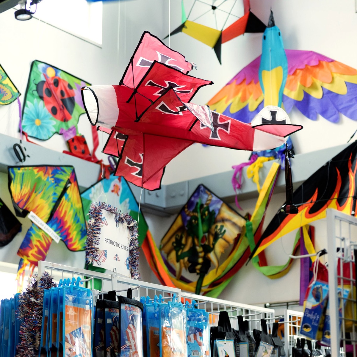 World Kite Museum